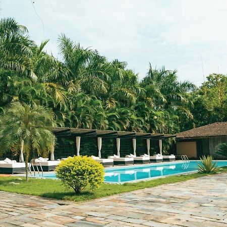 Kasara Chitwan Hotel Patlahara Bagian luar foto