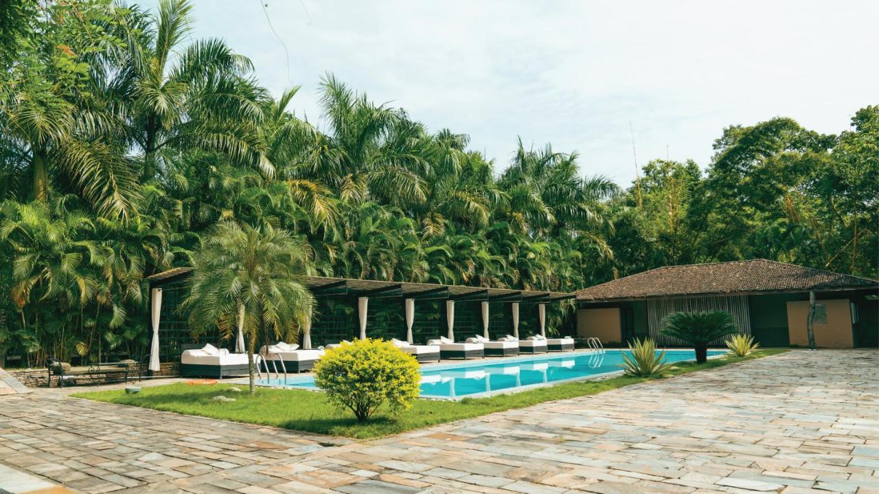 Kasara Chitwan Hotel Patlahara Bagian luar foto
